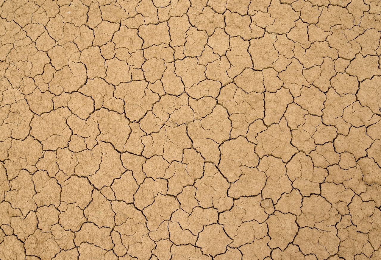découvrez les causes courantes des fissures dans les murs et les méthodes efficaces pour les stabiliser et prévenir leur aggravation.