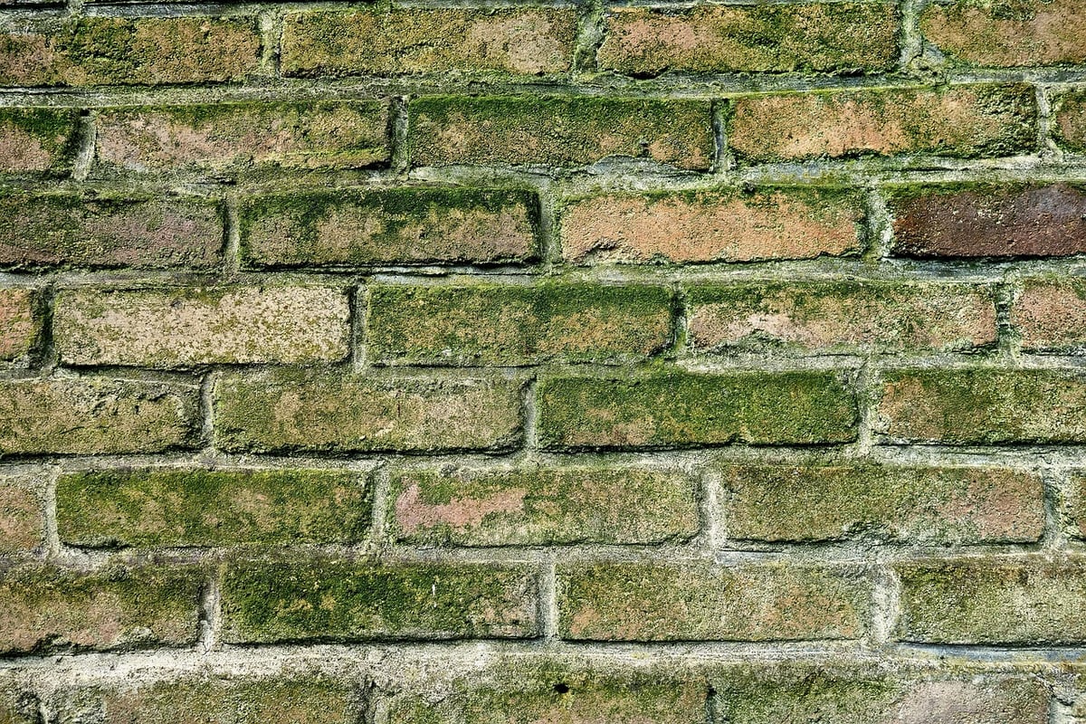 Quel mortier utiliser pour monter un muret dans son jardin ?