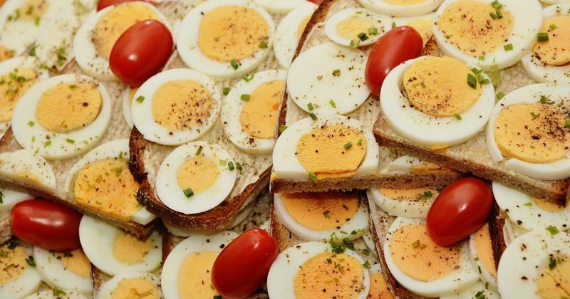 sandwich aux oeufs