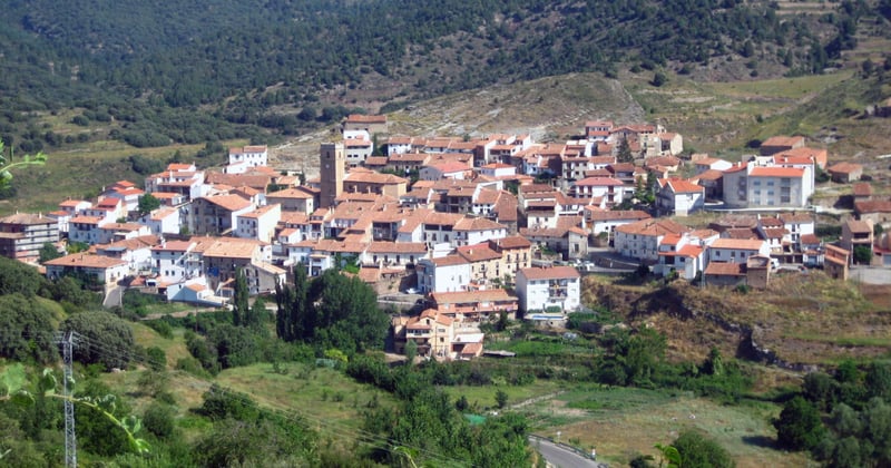 Blog d'actualités et d'informations : suivre les sujets maison au bon rythme