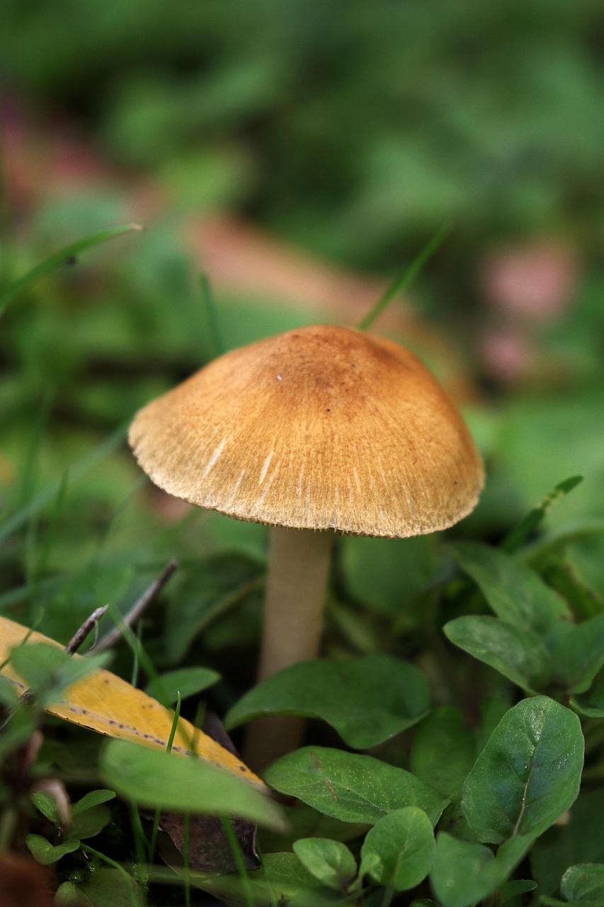 solutions efficaces pour le traitement de l'humidité : prévention, réparation et conseils pour un intérieur sain et sans moisissures.